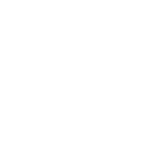 PERSONAL INTEREST π mark