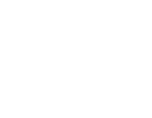 RICE LABS mark